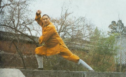 Shaolin Lohan Quan.